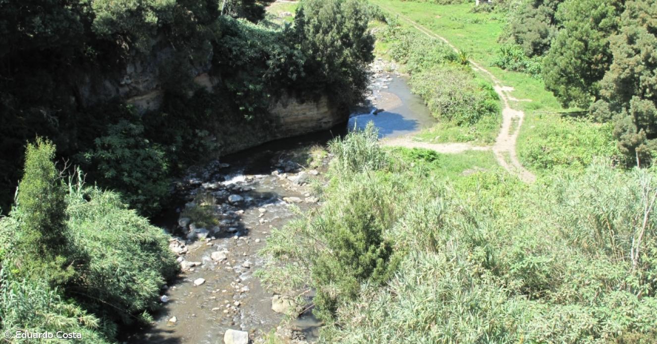 Ribeira na Ribeira Grande