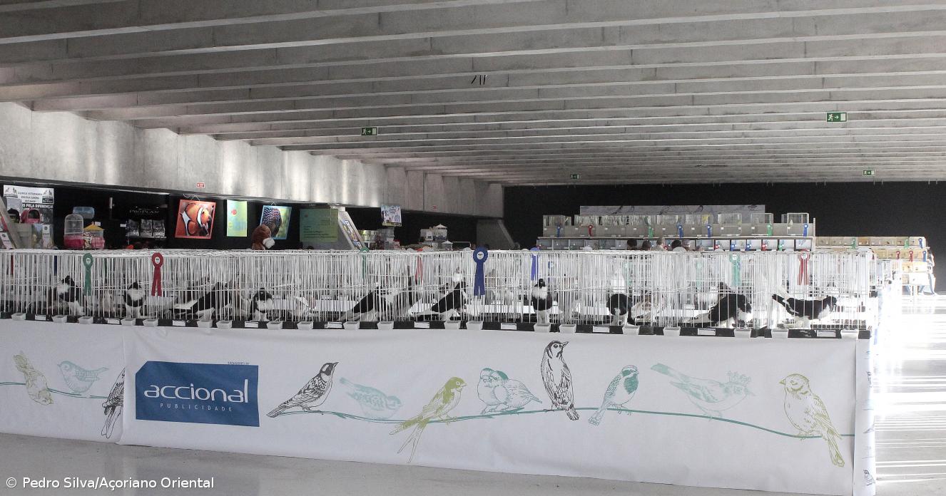 Expo Aves