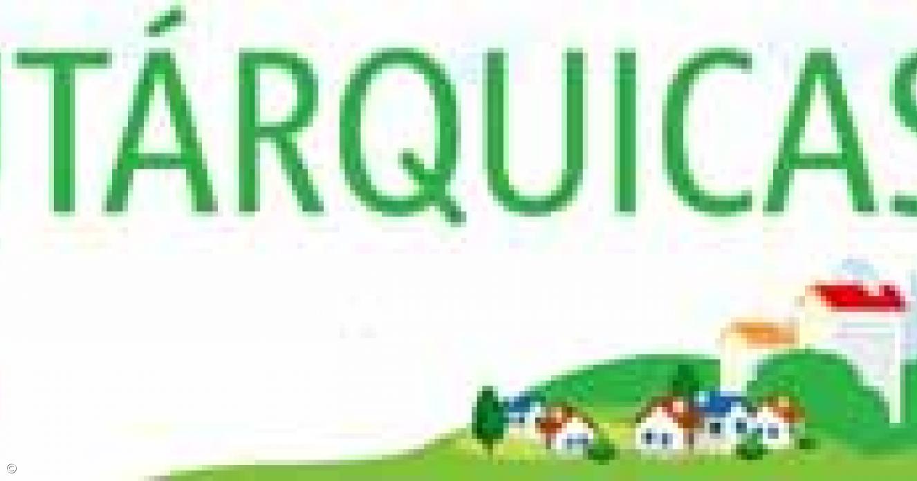 Eleições Autárquicas 2009