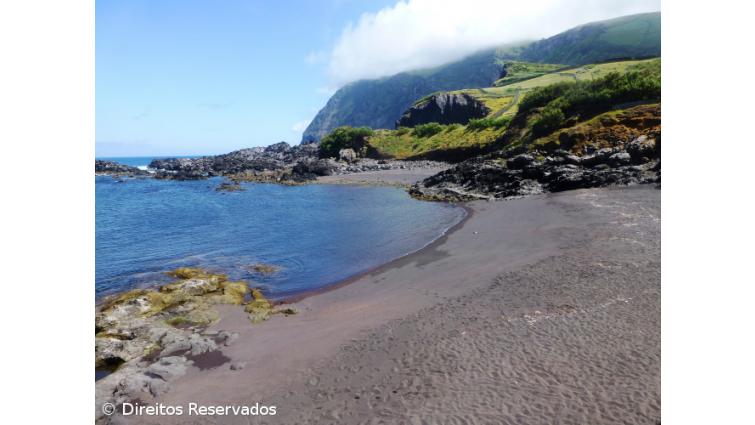 Resultado de imagem para Quercus classifica 390 praias nacionais com “Qualidade de Ouro” em 2018