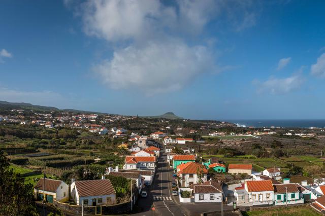 Governo classifica como imóvel de interesse público "Casa da Araucária" na ilha Terceira