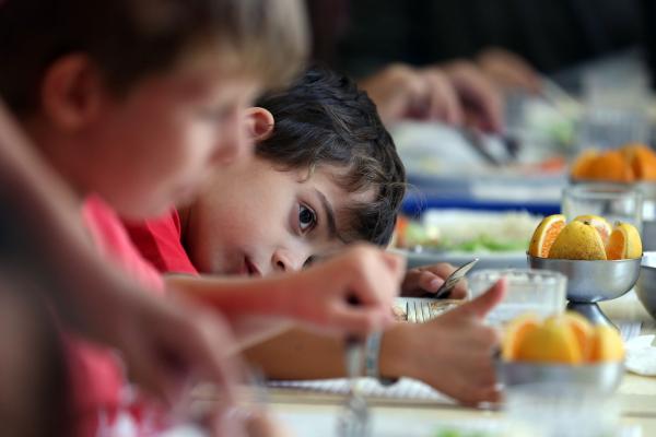 Governo dos Açores reforça em 40% as verbas para a ação social escolar na região