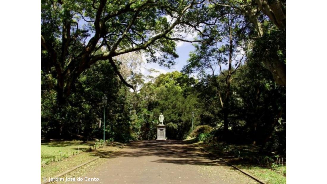Jardim botânico José do Canto vai ter núcleo de flora dos Açores Açoriano Oriental Jardim botânico José do Canto vai ter núcleo de flora dos Açores Açoriano Oriental