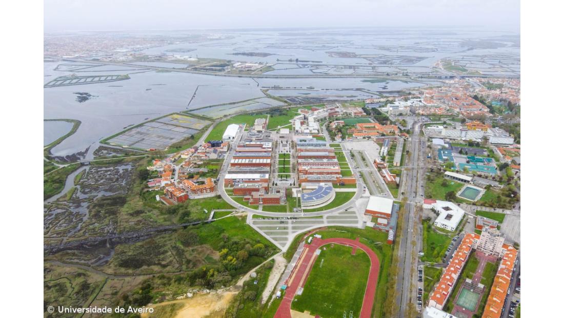 Microalga salina estudada em Aveiro para tratar inflamação e diabetes