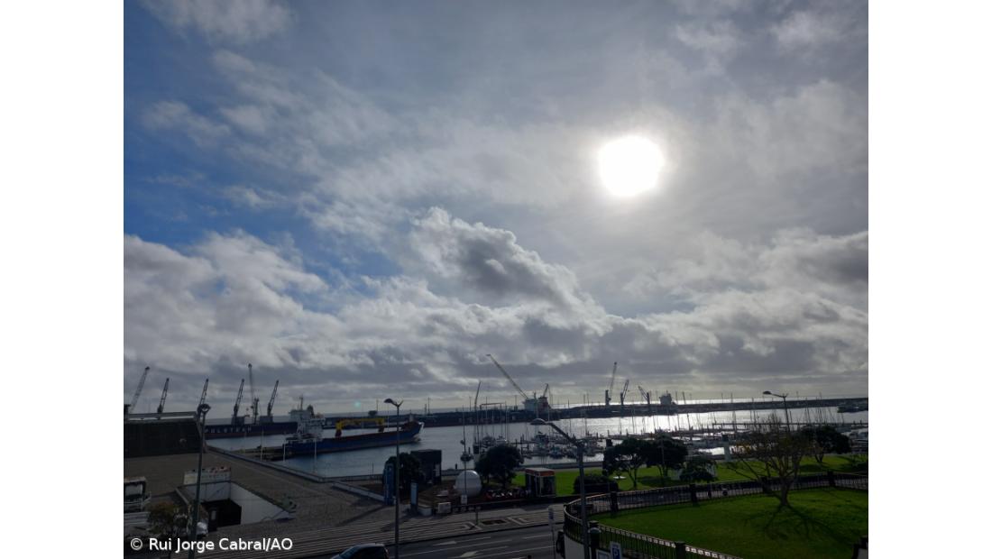 Concentração de pólen no ar moderada a elevada em todo o continente e baixa na Madeira e Açores