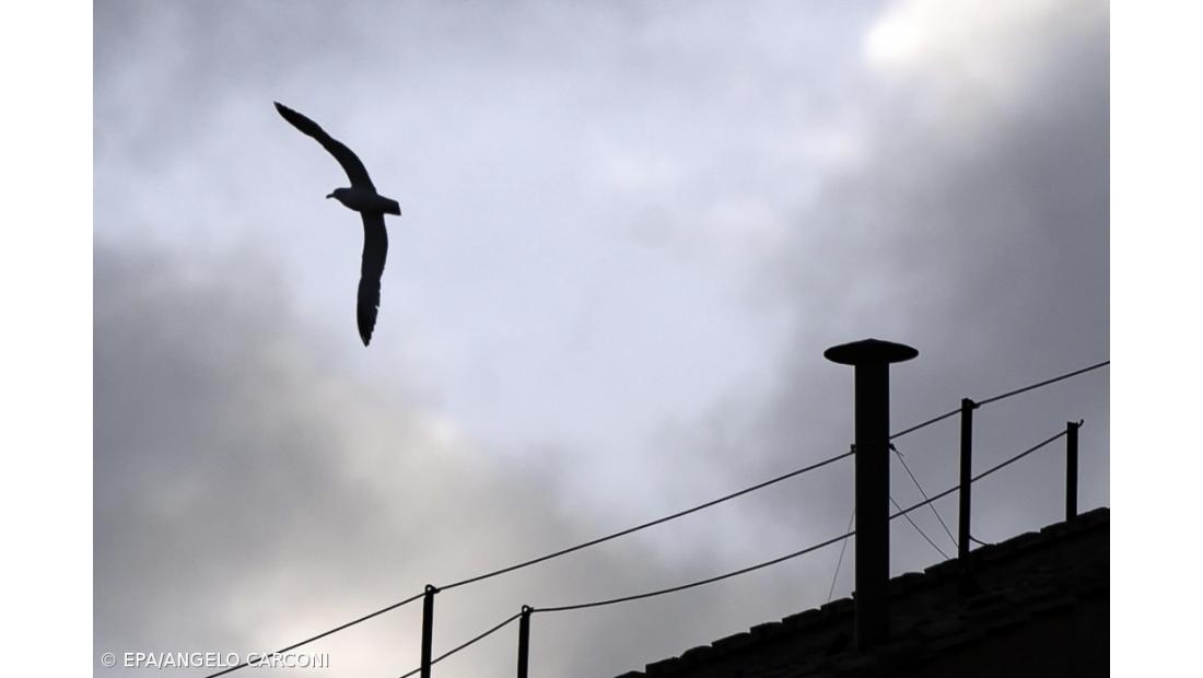 Primeiro sinal de fumo esperado a partir das 17h00 (Açores) de quarta-feira 