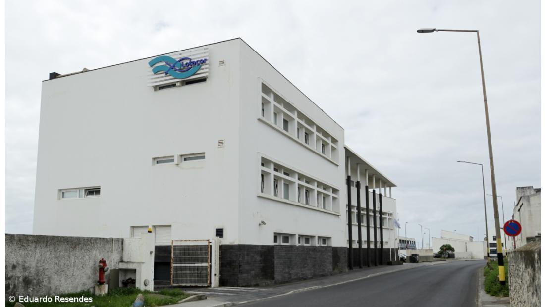 Lotaçor com resultado líquido negativo de 2,8 ME