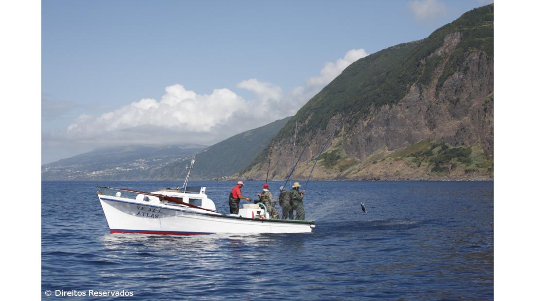 Pescadores de atum dos Açores podem capturar mais 425 toneladas este ano
