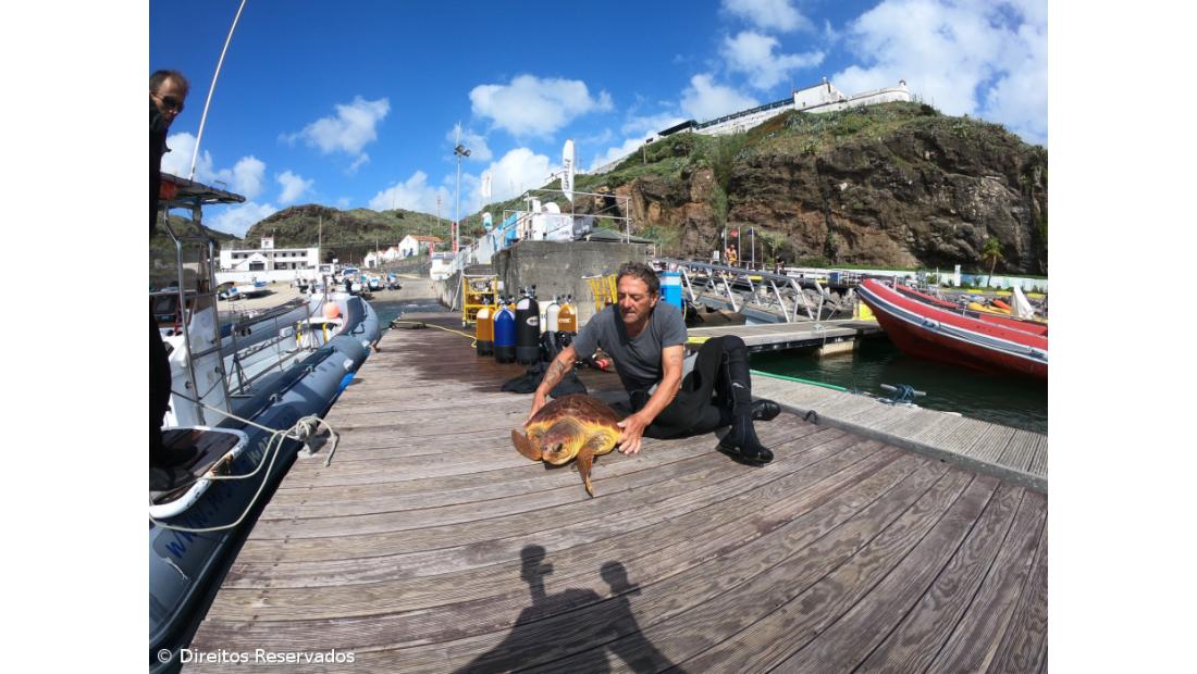 Operadores turísticos e indústria de atum divergem sobre as áreas protegidas nos Açores