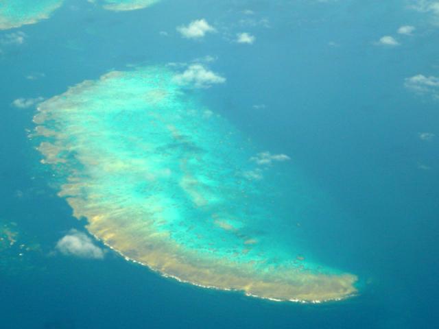 Austrália destina 1,1 mil milhões de euros para preservação da Grande Barreira de Coral