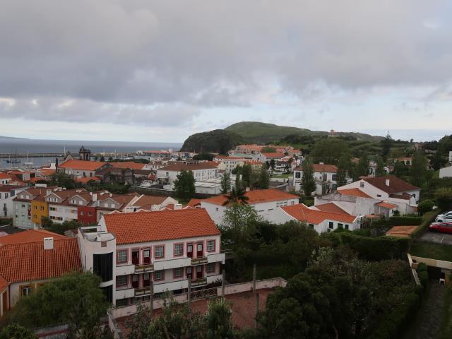Gestor agrícola diz desconhecer carta de conforto atribuída pelo Governo dos Açores