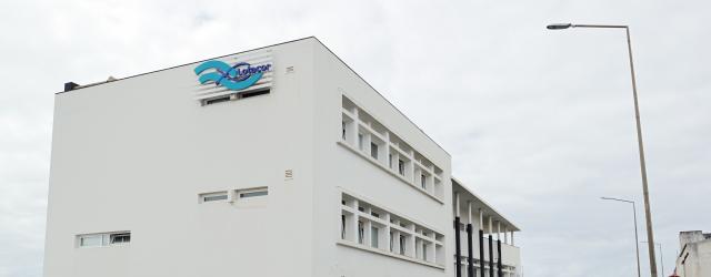 Auditoria recomenda saneamento financeiro da empresa de lotas dos Açores