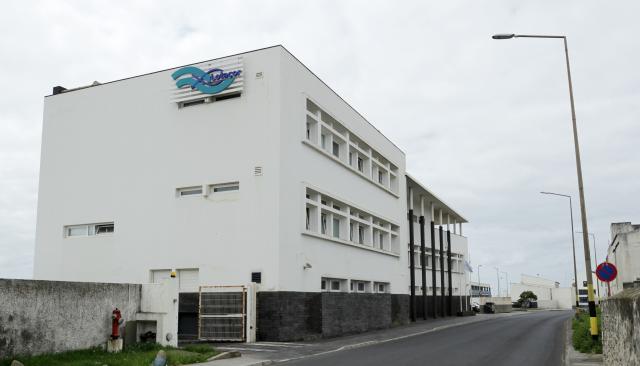 Lotaçor com resultado líquido negativo de 2,8 ME