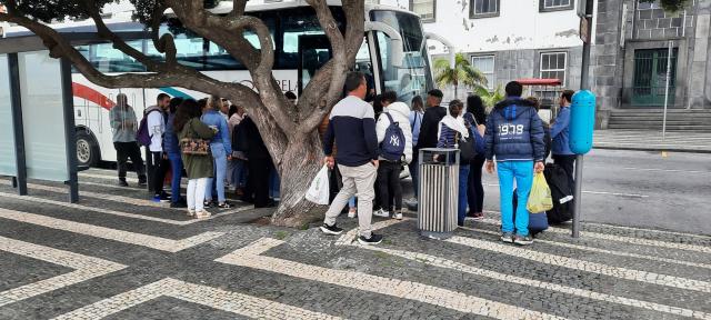 Passe social gratuito chegou a 11 mil pessoas e custou 867 mil euros em 2024