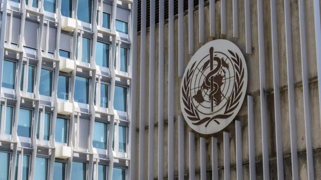 Mpox: OMS mantém estado de alerta e pede “apoio internacional contínuo"