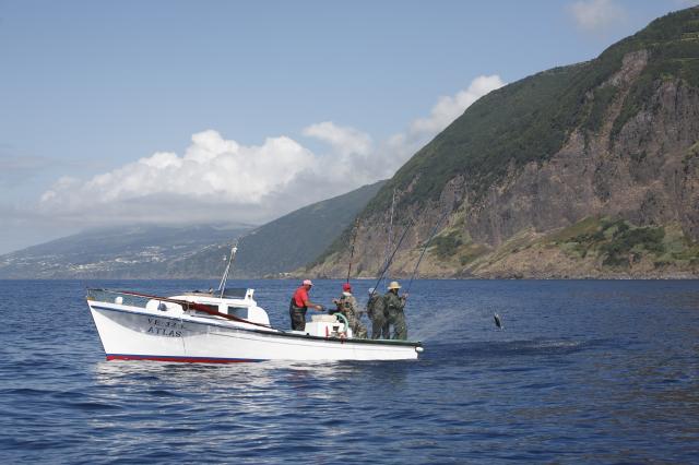 Pescadores de atum dos Açores podem capturar mais 425 toneladas este ano