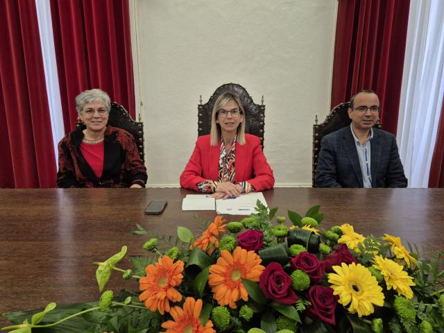 Festas de São João da Vila 2025 contam com 16 marchas populares