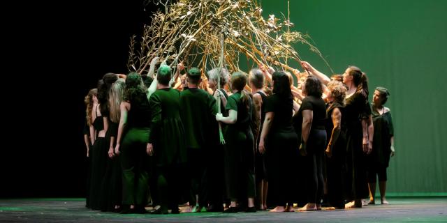 ‘Tsugi’ no Teatro Micaelense a 7 de junho