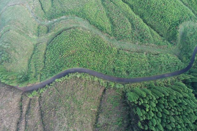 Governo utiliza drones para a conservação do ambiente