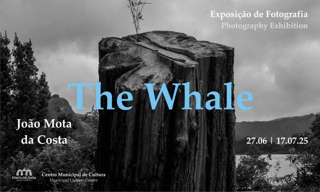 Exposição “The Whale” no Centro Municipal de Cultura