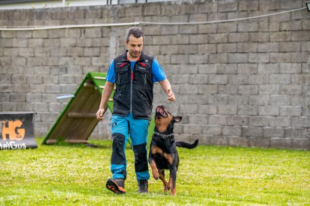 Único criador certificado luta pela continuidade do Rottweiler na região