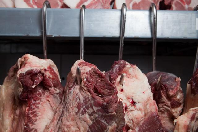 Exportação de carne de bovino cresceu 8% no 1.º semestre de 2025