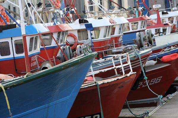 Governo dos Açores concede aval de 3,5ME a empresa que gere lotas da região