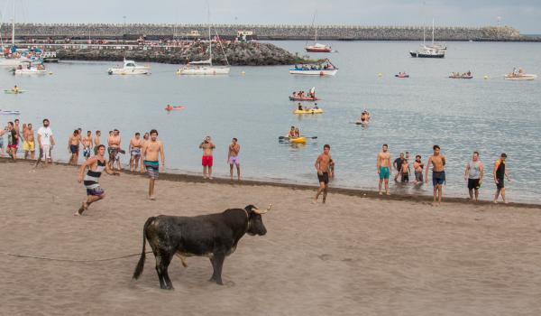Touradas à corda tem futuro assegurado na ilha Terceira, dizem ganadeiros