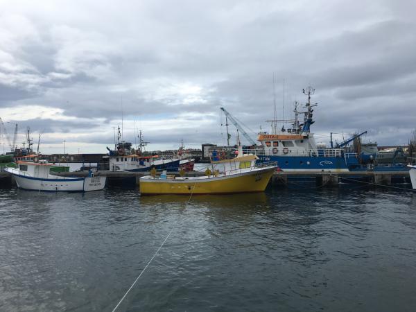 Pesca com quebra de 1,6 ME no primeiro trimestre deste ano
