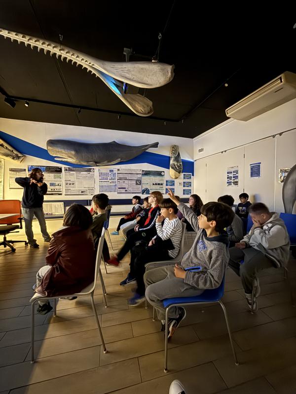 Estudantes da E.B.I. Canto da Maia Visitam Futurismo para Aprender Sobre a Vida Marinha e Conservação