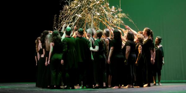 ‘Tsugi’ no Teatro Micaelense a 7 de junho